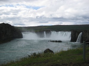 Goðafoss, ballenas